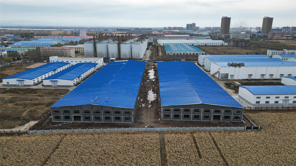 NG娱乐·(中国区)相信品牌的实力官网